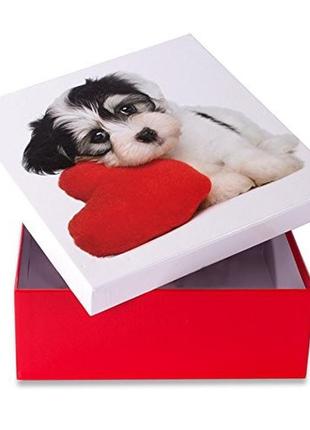 Коробка подарункова оотв собака з серцем 18 х 18 см1 фото