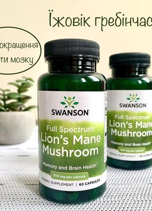 Їжачок гребінчастий 500 мг swanson lion's mane mushroom для нервової системи 60 капсул