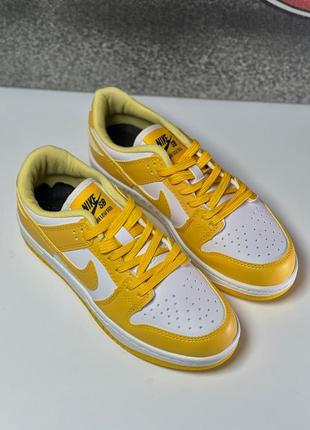Nike sb dunk low кросівки