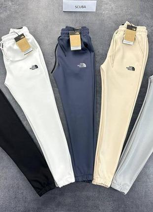 Чоловічі спортивні штани мужские демисезонные спортивные штаны the north face