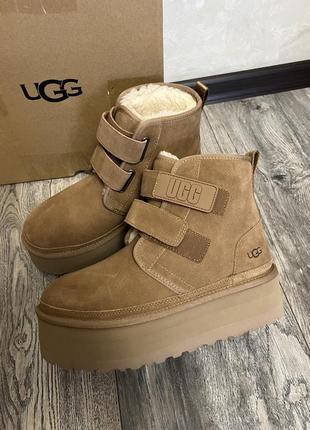 Угги оригинал ботинки сапоги ugg