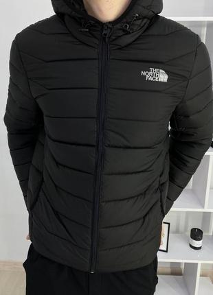 Весенняя стеганая курточка tnf