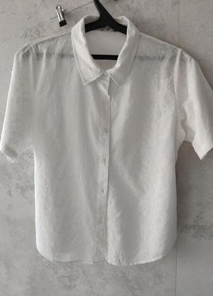 Рубашка белая женская, на лето, из хлопка, 50, xl, xxl