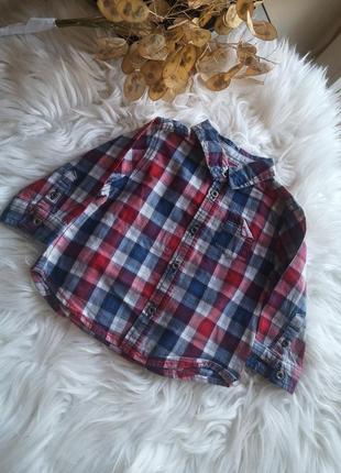 Рубашка на 6 месяцев