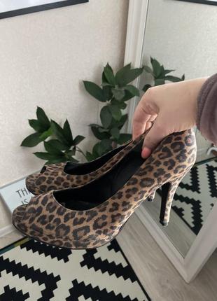 Туфлі замша леопардовий принт черевики