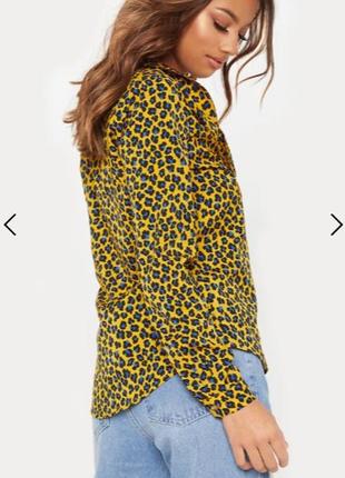 Актуальная блуза леопардовый принт от plt