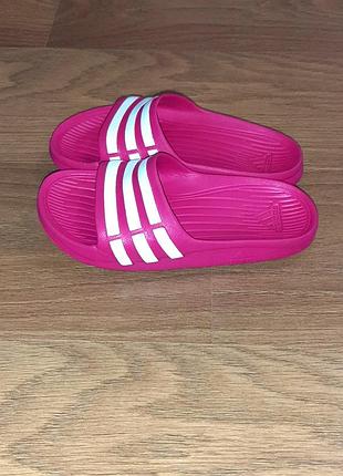 Шлепки adidas 6