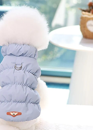 Стильная куртка-жилет для домашних животных s голубой (sv3740bs)2 фото