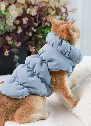 Стильная куртка-жилет для домашних животных s голубой (sv3740bs)4 фото