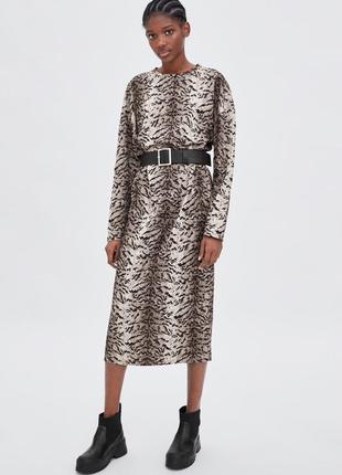 Сукня міді в анімалістичний принт zara,36/s