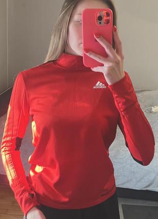 Спортивная кофта adidas женская.