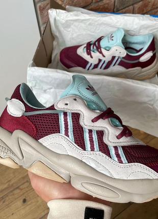 Демісезон adidas ozweego bordo blue