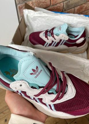 Демисезон adidas ozweego bordo blue3 фото