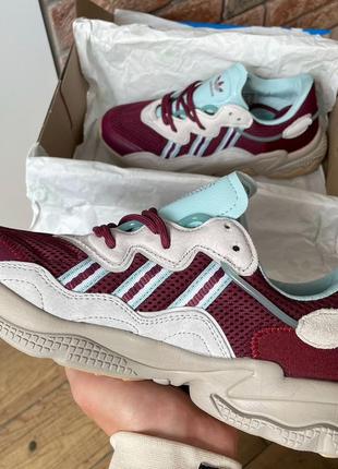 Демисезон adidas ozweego bordo blue4 фото