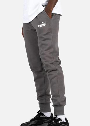 Спортивные штаны puma essentials logo sweatpants