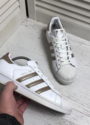 Кросівки adidas superstar