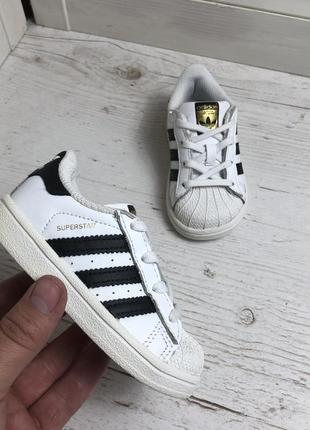 Кросівки adidas superstar