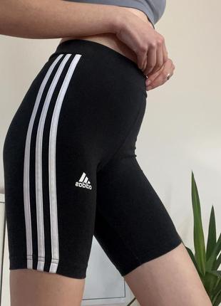 Шорти -велосипедки adidas