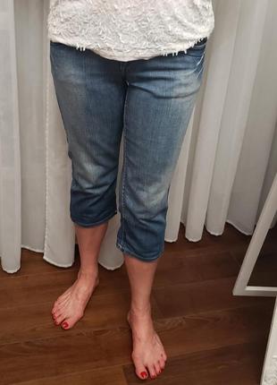 Бриджі р-р л