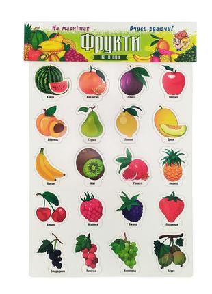 Набір магнітів на листі "фрукти та ягоди" artos 1250ats укр.