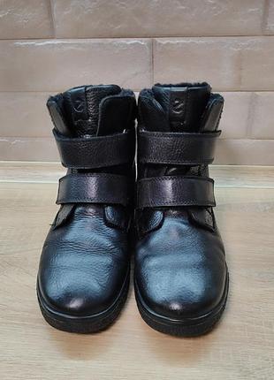 Сапоги - ботинки зимние унисекс от ecco, размер 362 фото