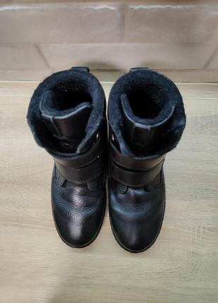 Сапоги - ботинки зимние унисекс от ecco, размер 366 фото