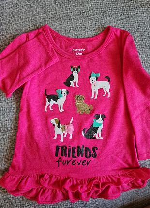 Реглан carters