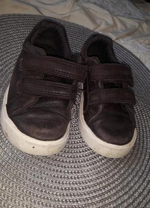 Кеды кожа 14,5см clarks