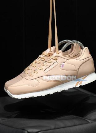 Кроссовки женские reebok classic бежевые (рибок класик, кросівки)