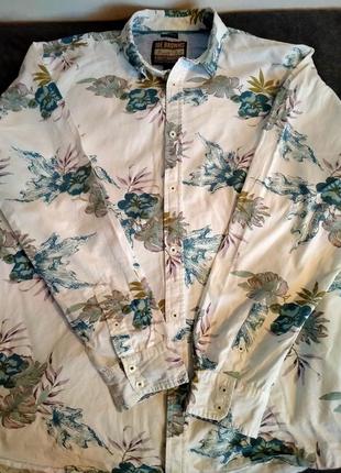 Индийская рубашка цветная.