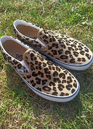 Кеды женские vans leopard3 фото