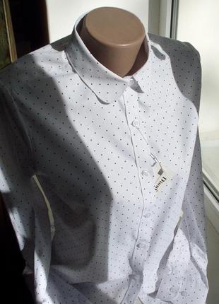 Рубашка белая хлопковая нарядная официальная офисная в мелкий горошек1 фото