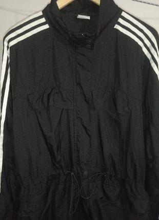 Adidas2 фото