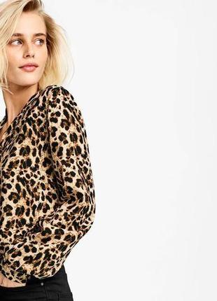 Блузочка блуза леопард рубашка лео esmara2 фото