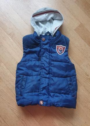 Безрукавка nutmeg