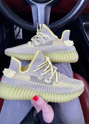 Жіночі кросівки 
adidas yeezy boost 350