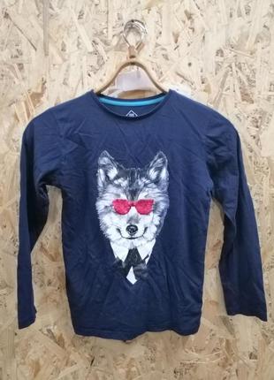 Реглан футболка с волком