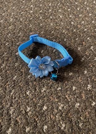 Ошейник для кошек и собак