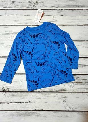 Лонгслів дитячий на хлопчика реглан кофта з динозаврами