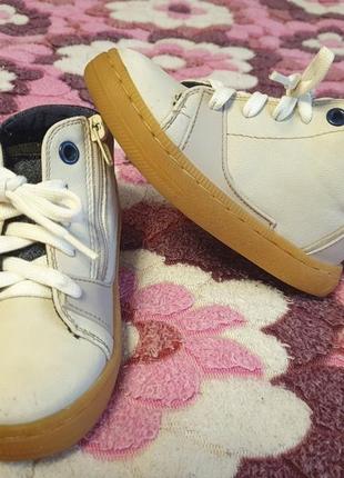 Кроссовки,ботинки zara 22р