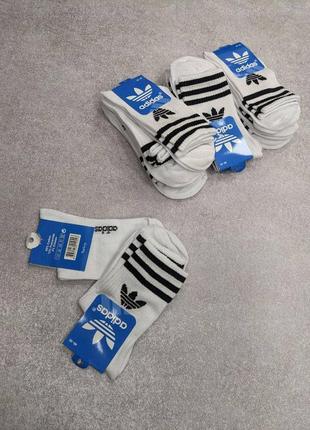 Чоловічі довгі шкарпетки adidas