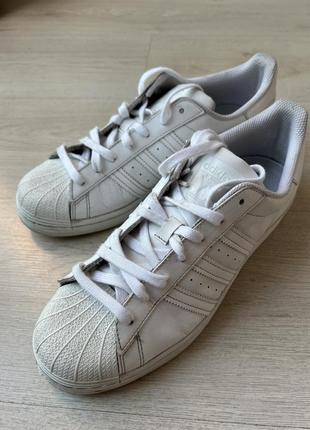 Кожаные белые кеды adidas superstar 8.5192 новенькое белое кеды адедас суперстар9 фото