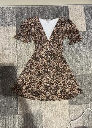 Платье мини мины платье леопардовое платье с рукавами пуфами фонариками babydoll asos xs s