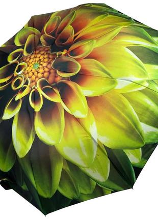 Женский зонт полуавтомат с принтом цветка от toprain на 9 спиц, салатовая ручка, 0703-2