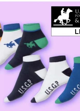 Носки мужские u.s.grand polo equipment &amp; apparel livergy короткие2 фото