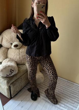 Леопардовые брюки1 фото