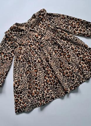 Платье с воротничком в леопардовый принт