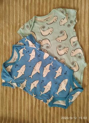 Бодіки carter ' s