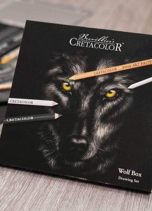 Набор материалов для графики wolf металлическая коробка 25шт cretacolor6 фото
