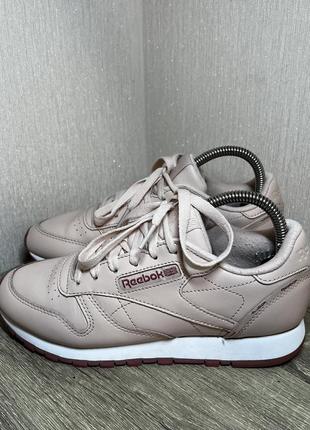 Кроссовки reebok classic